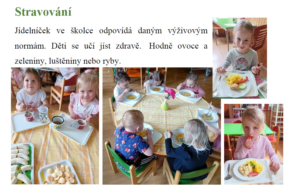 stravovani