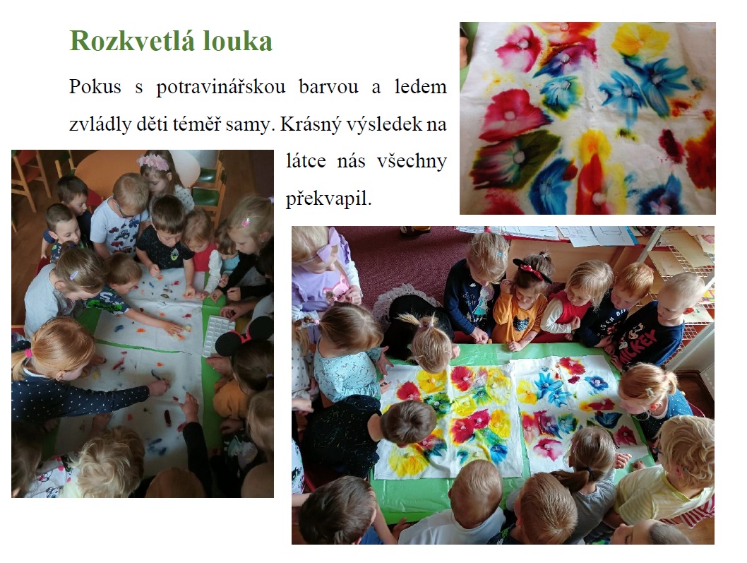 louka ms