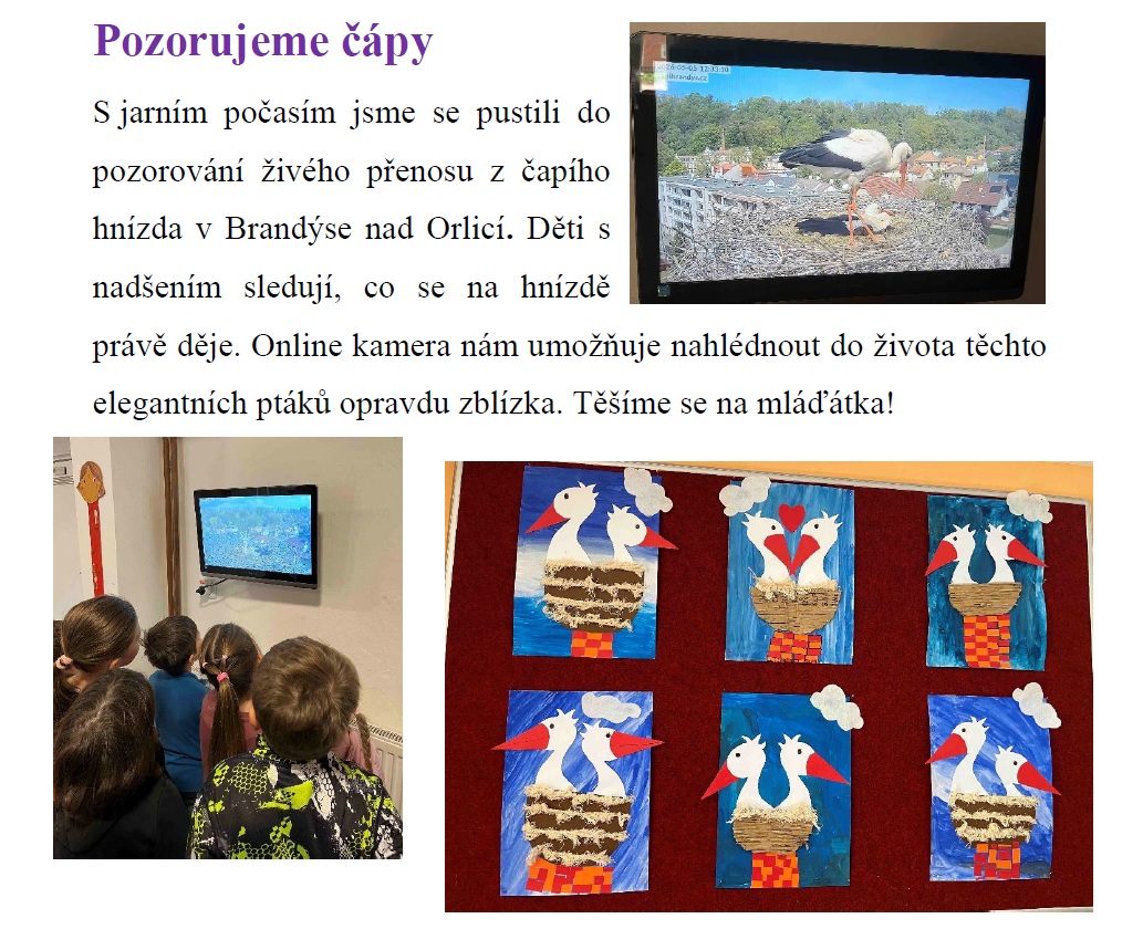 čapi26